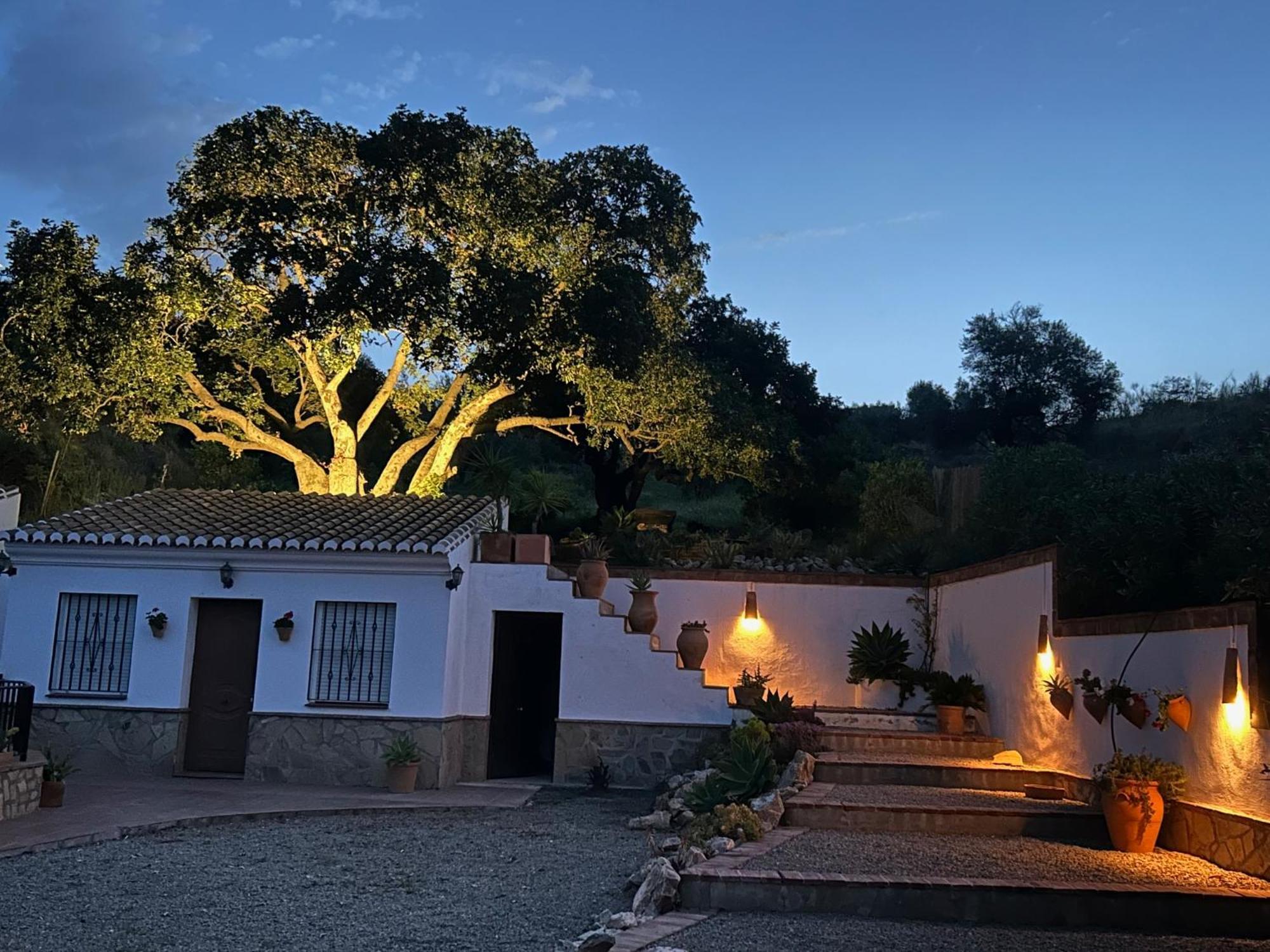 Casa Verano With Pool And Terraces Villa